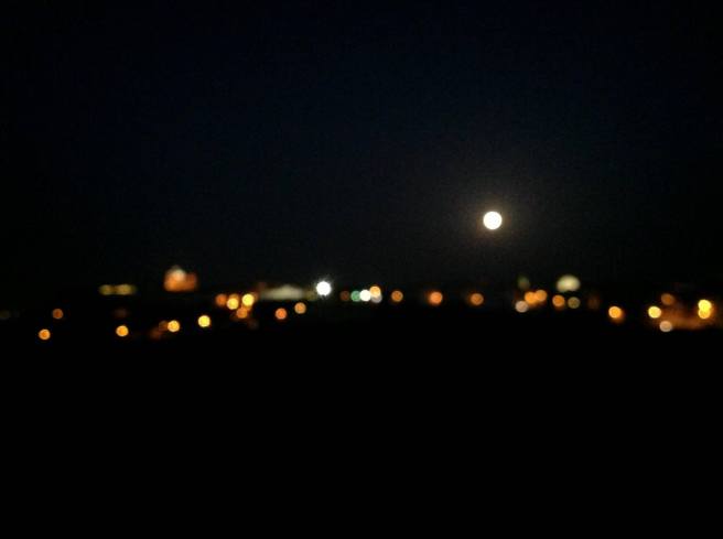 Sometimes, it's what isn't in focus that's beautiful.  © M Schranz